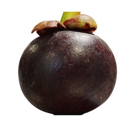 Mangostino X500gr