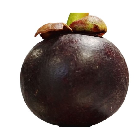 Mangostino X500gr