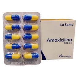 Amoxicilina La Santé Fracción X10 Cápsulas X500mg