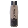 Maria Salome Shampoo Hombres2 en 1 X400ml