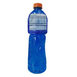 Gatorade Blue Ice X1 litro
