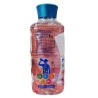Hidralyte Fresa Kiwi  X640ml