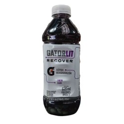 Gatorlit Uva  X620ml