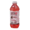 Gatorlit Fresa-Kiwi X620ml