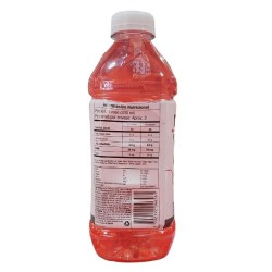 Gatorlit Fresa-Kiwi X620ml