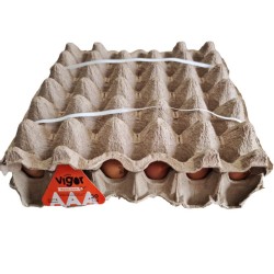 Huevos Vigor Tradicional AAA X30 Unidades