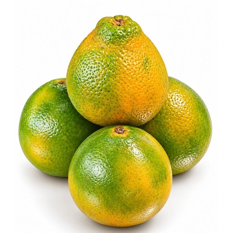 Naranja Tangelo X500gr