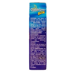 Gastrum Plux Menta 1 Sachets 10ml