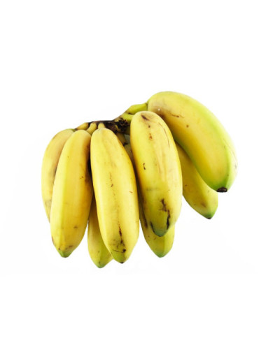Banano Bocadillo 500 gr
