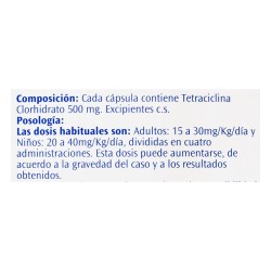 Té Hindú Frutos Rojos 20 Und 20gr