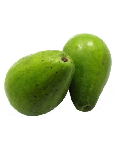 Aguacate Papelillo 500 gr