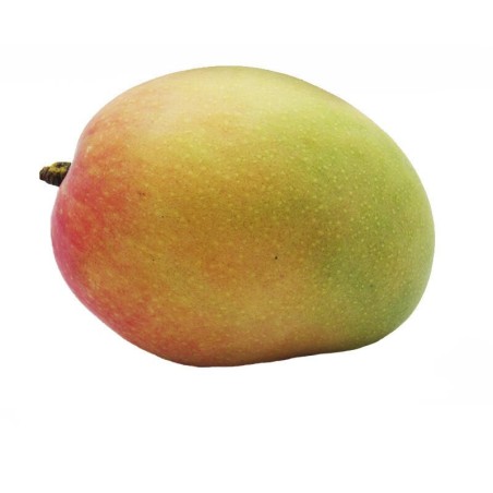 Mango Tommy 500gr