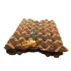 Dolex Fracción 10 Tabletas 500mg